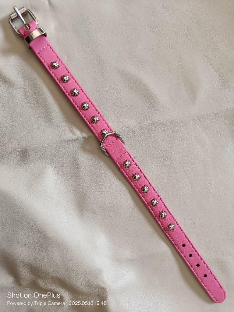 Leather Dog Collar